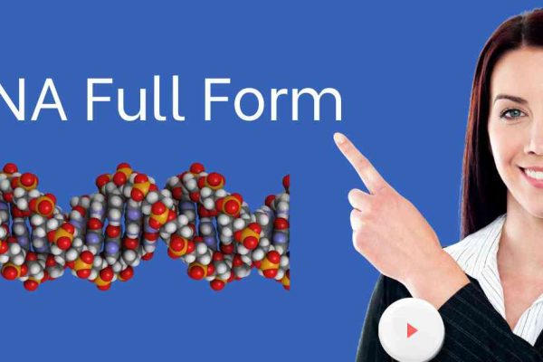 DNA Full Form