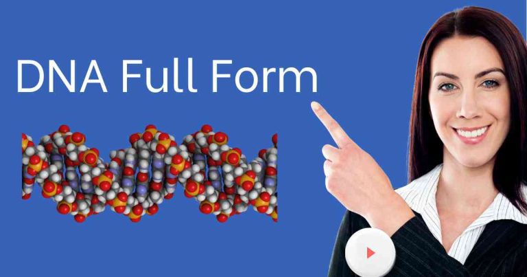 What is the DNA Full Form Detailed Information about DNA in 2024