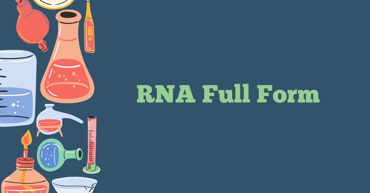 RNA Full Form